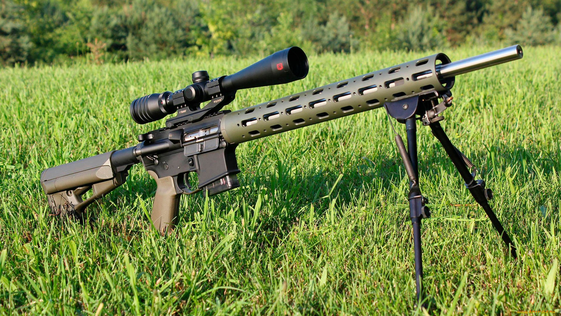,  , ar-15, varmint, rifle